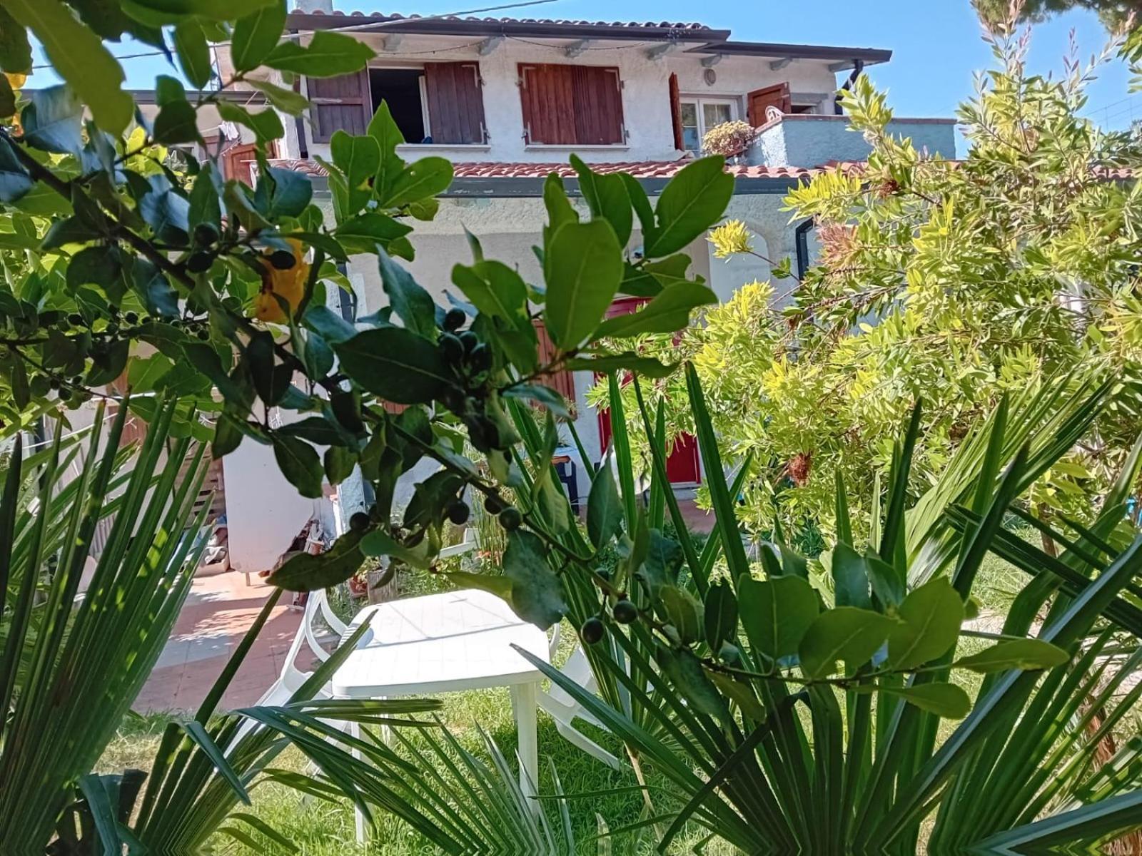 Sogno Vacanze Apartment Маса Екстериор снимка