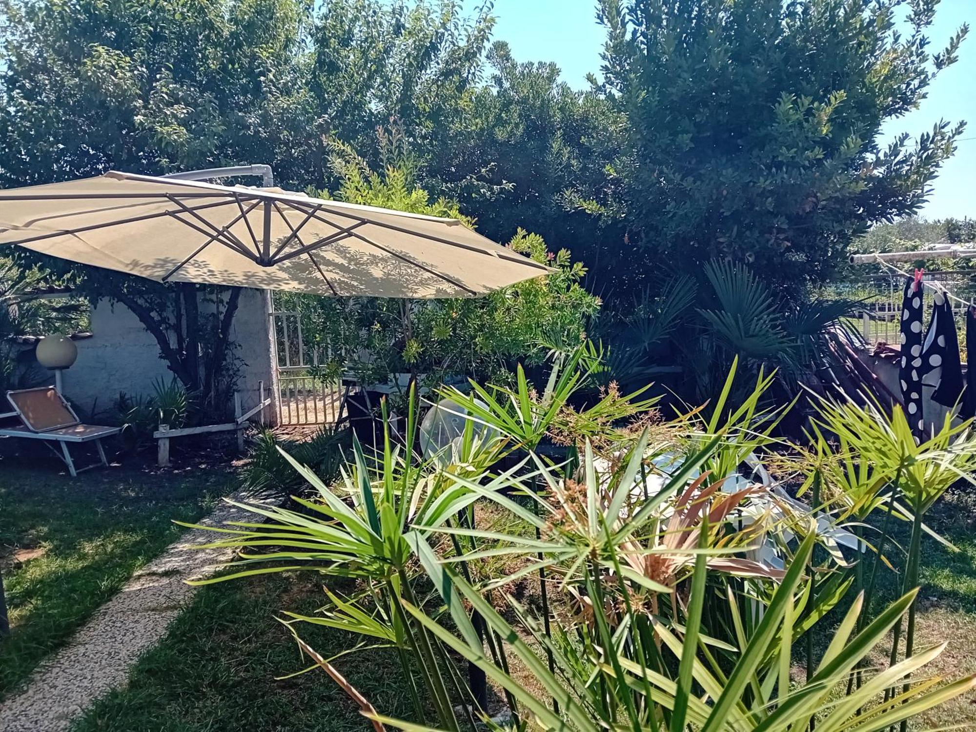Sogno Vacanze Apartment Маса Екстериор снимка